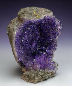 Amethyst crystal cluster growing from a rough gray rock against a purple-to-gray gradient background.