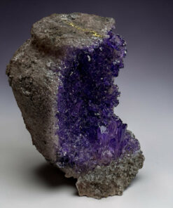Purple amethyst crystal cluster growing from a rough gray rock against a neutral background, studio lighting on the crystals.